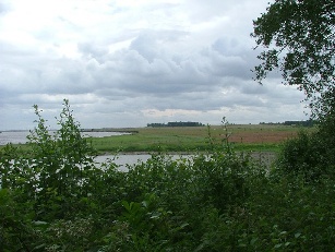Hale Marshes